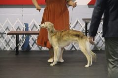 IMG_4249-scaled