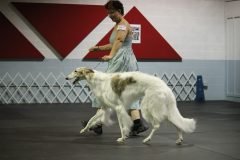 IMG_4335-scaled