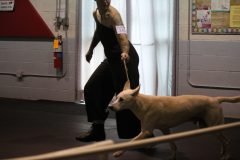 IMG_4346-scaled