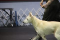 IMG_4348-scaled