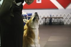 IMG_4355-scaled