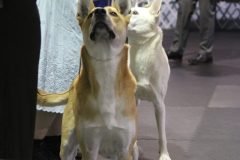 IMG_4394-scaled