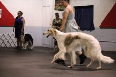 IMG_4412-scaled