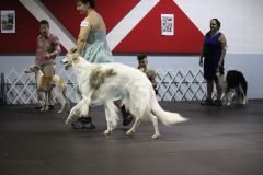 IMG_4414-scaled