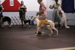 IMG_4417-scaled