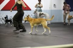 IMG_4423-1-scaled
