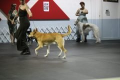 IMG_4424-scaled