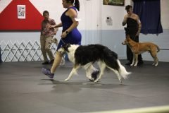 IMG_4428-scaled