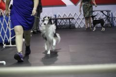 IMG_4430-scaled