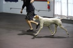 IMG_4441-scaled