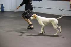 IMG_4442-scaled