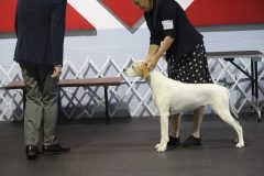 IMG_4450-scaled