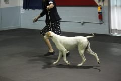 IMG_4462-scaled