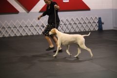 IMG_4463-scaled