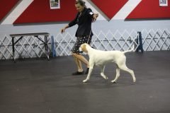 IMG_4464-scaled