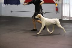 IMG_4468-scaled