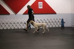 IMG_4477-scaled