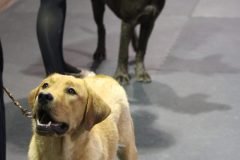 IMG_4705-scaled