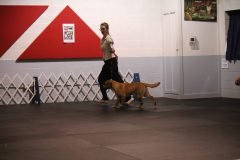 IMG_4715-scaled
