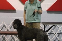 IMG_4729-scaled