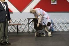 IMG_4733-scaled
