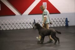 IMG_4736-scaled