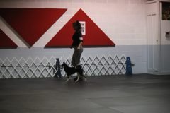 IMG_4886-scaled