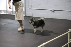IMG_4896-scaled