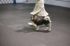 IMG_4897-scaled