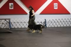 IMG_4917-scaled