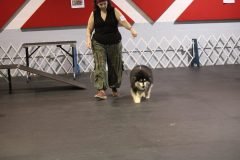 IMG_4924-scaled
