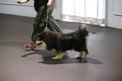 IMG_4931-scaled