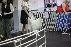 IMG_4934-scaled