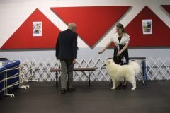 IMG_4941-scaled