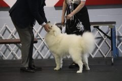 IMG_4942-scaled
