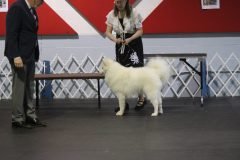 IMG_4946-scaled