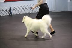 IMG_4949-scaled
