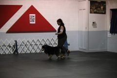 IMG_4960-scaled