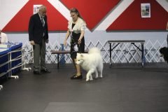 IMG_4962-scaled