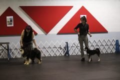 IMG_4965-scaled
