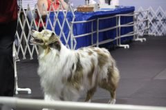IMG_4992-scaled