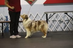 IMG_4995-scaled