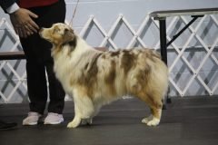 IMG_4996-scaled