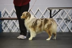 IMG_4998-scaled
