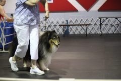IMG_5018-scaled