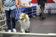 IMG_5022-scaled