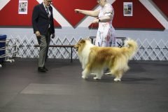 IMG_5024-scaled