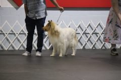 IMG_5033-scaled