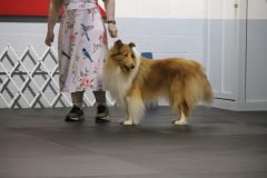 IMG_5034-scaled