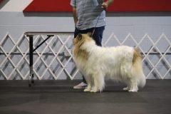 IMG_5037-scaled